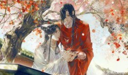 天官赐福漫画,仙凡情缘，风云际会